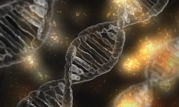Embryo Editing